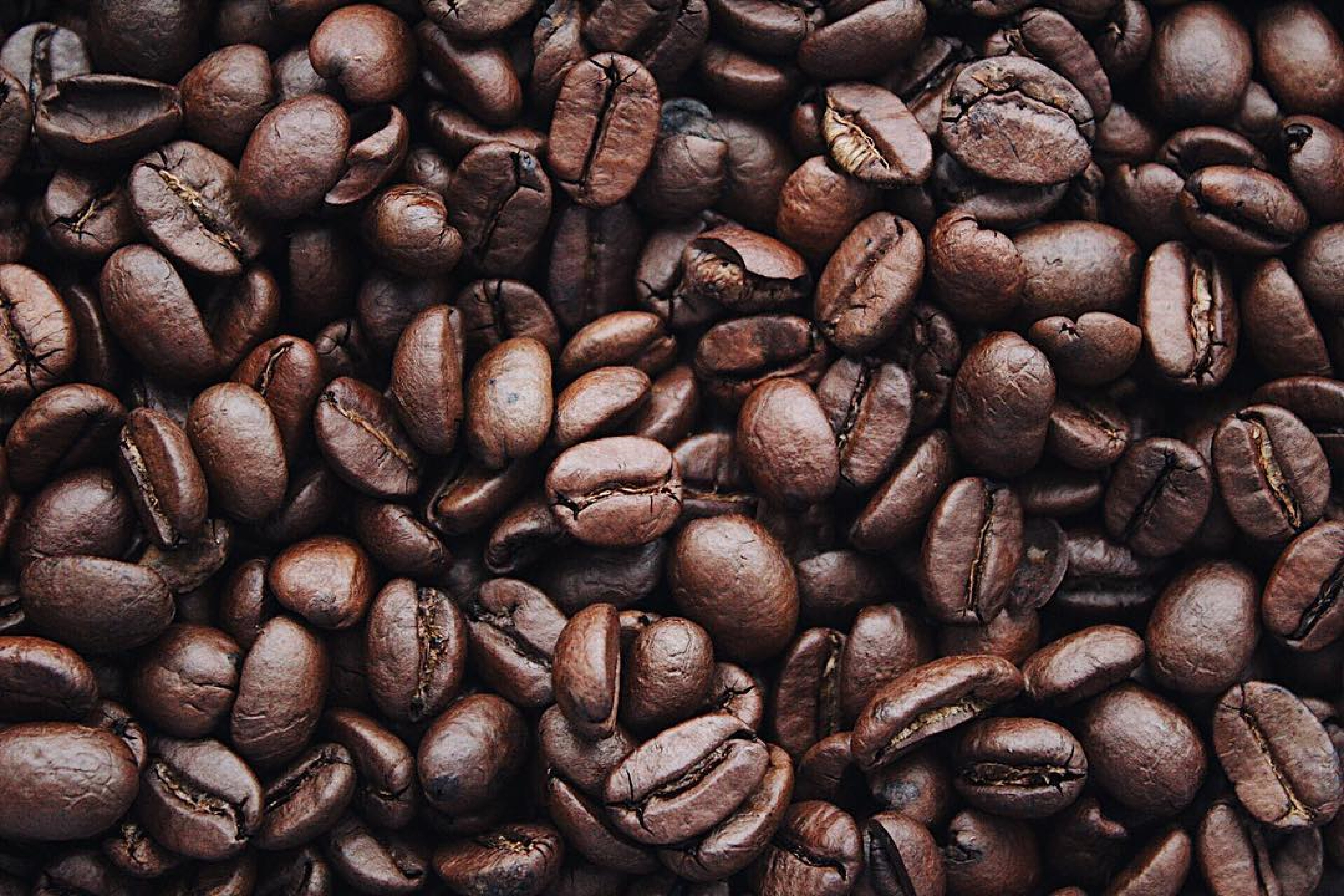 Coffee,Tea and How to Brew it the Right Way
