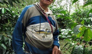 Mexican Coffee Cultural History